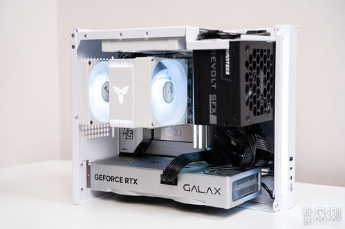 King Charles Cavalier